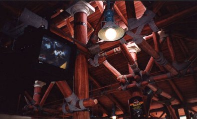 Architecture_Recreational_Theme_Parks_Jurassic_Park_Jurassic7