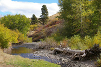 Idaho Ranch