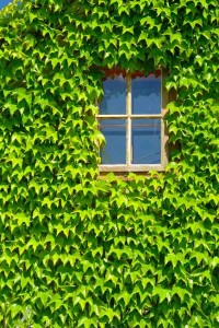green design checklist 1
