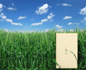 green home analysis