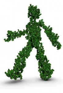 green home analysis