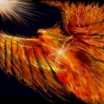 SunBird-14-JPG-small