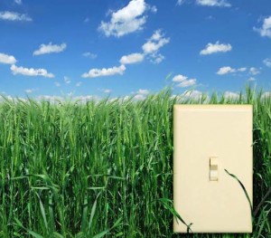 eco-friendly architects