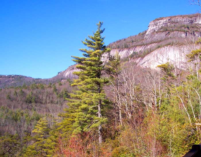 Charlotte home architects wish they had this to work with.  This is the site of one of That Architect Architect's projects near Whiteside Mountain (near Cashiers, NC), the oldest mountain on Earth, according to geologists.
