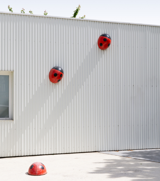 ladybug ladybug